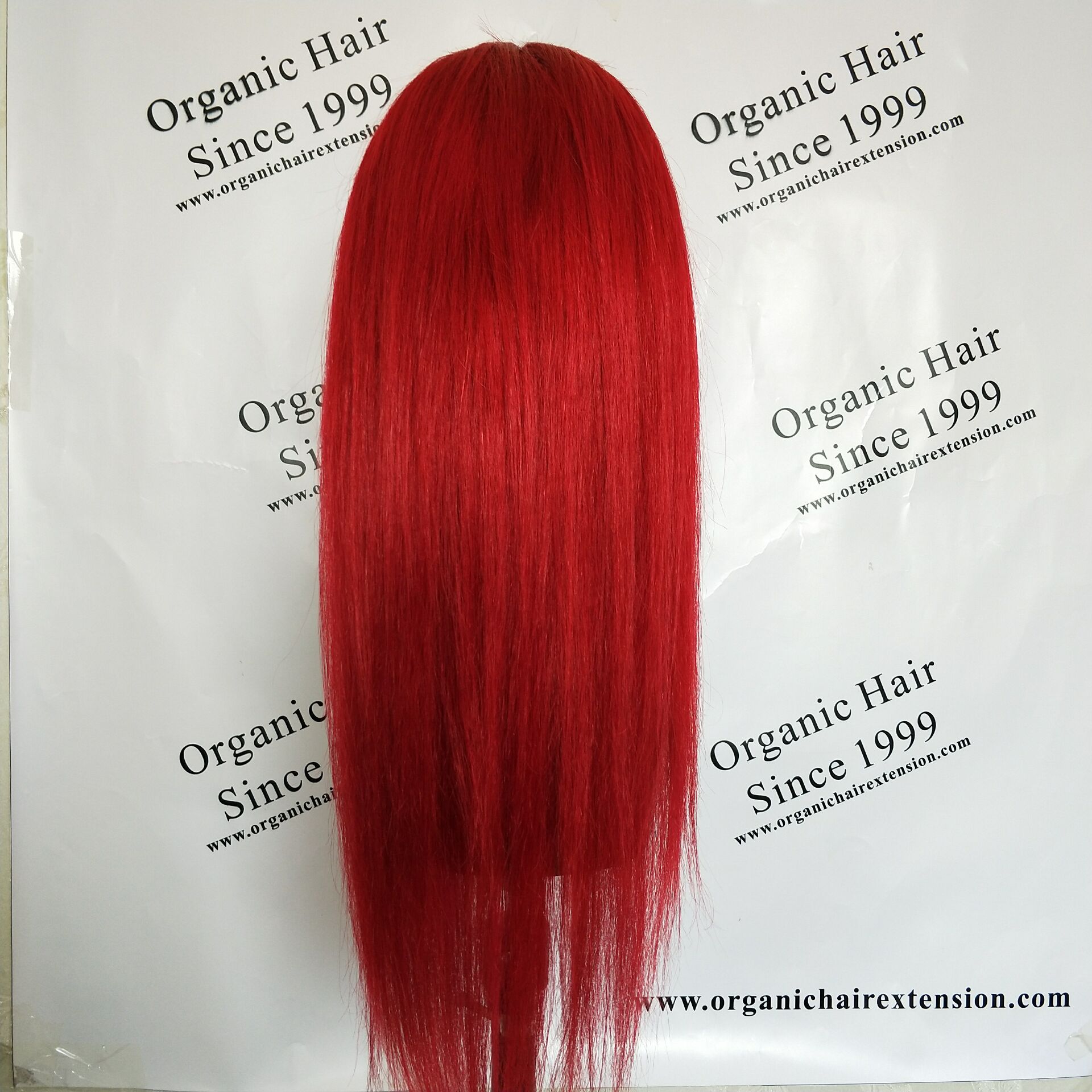 SUPER Realistic Full Lace Wig J08